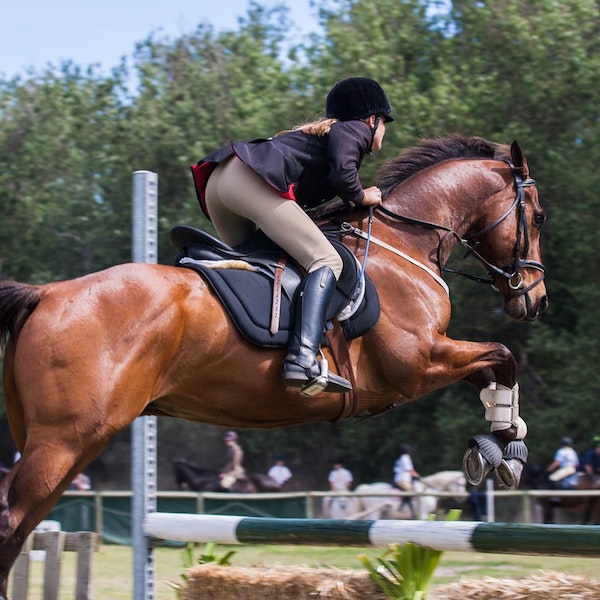 person-riding-a-horse-1559388