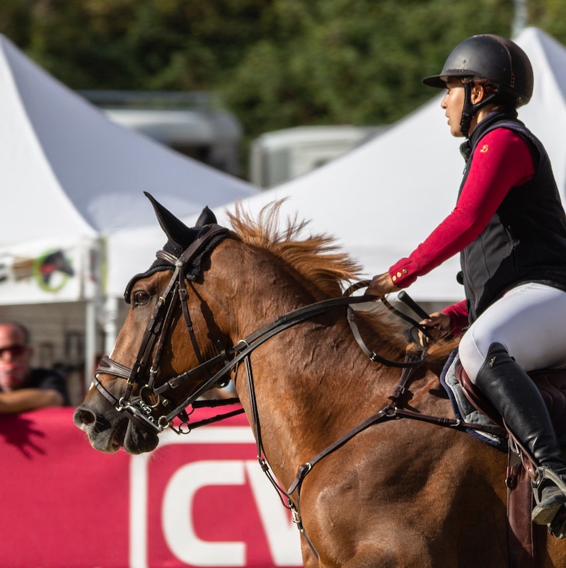 philippe-oursel-8jFnojODWjc-unsplash